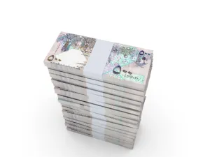 يحقق الاقتصاد القطري معدل نمو يبلغ 7 ٪ لعام 2015، مع استمرار معدلات النمو القوية في القطاع غير النفطي خلال السنوات المقبلة بفضل استمرار الحكومة في تنفيذ المشاريع التنموية الكبرى