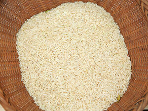 مصر تتوسع في زراعة الأرز مع تفاقم فاتورة الواردات