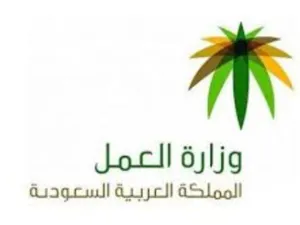 اشترطت الوزارة على صاحب المنشأة الذي يوظف ذوي الاحتياجات الخاصة لأجل احتسابه بـ 4 سعوديين في التوطين
