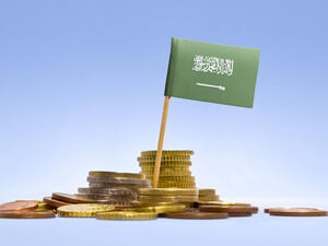 "الرؤية المستقبلية  للسعودية" ستشمل عديدا من البرامج التنموية والاقتصادية والاجتماعية وغيرها من البرامج