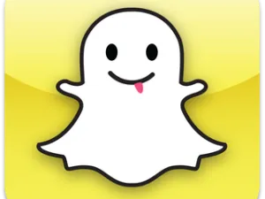 مشكلة سناب شات هو صعوبة الوصول إلى حسابات الأشخاص المميزين، فالمستخدم بحاجة إلى من يخبره بالحسابات المميزة التي عليه إضافتها