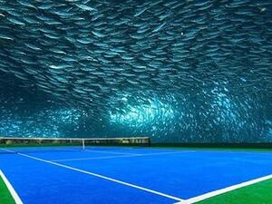 مشروع الملعب المقترح سيحتاج لأشياء معقدة، مثل بنية قوية تتحمل الزلازل، وموجات المد البحري “تسونامي”، وسطح يمكنه التعامل مع أي طارئ