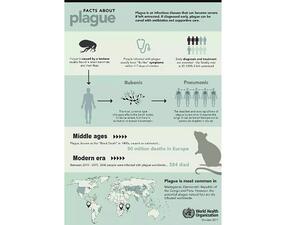 وزارة الصحة ووقاية المجتمع اتخذت مجموعة من الإجراءات الاحترازية بالتعاون مع هيئة الصحة أبوظبي وهيئة الصحة بدبي والطيران المدني