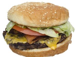 The G20 summit this weekend took place in Hamburg NOT Hamburger (Pixabay)