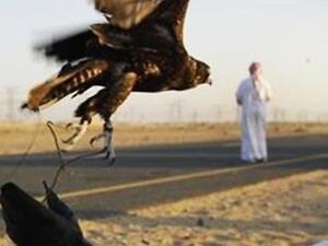 أمراء إماراتيون يتعرضون لإطلاق نار في باكستان بسبب "الحُبارى"
