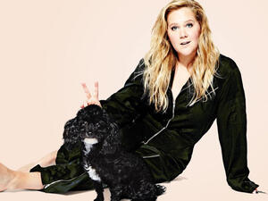 Schumer previously released a stand-up special titled The Leather (Source: Amyschumer / Instagram)