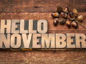 توقعات الأبراج لشهر تشرين الثاني/ نوفمبر 2018 من ماغي فرح
