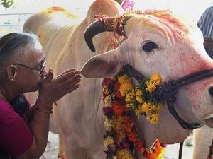 الحادث هو الأخير في سلسلة هجمات يشنها أتباع الطائفة الهندوسية في الهند ضد مسلمين