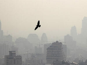 A bird is pictured flying in front of buildings in the polluted skyline of the Iranian capital Tehran. (AFP/Atta Kenare)