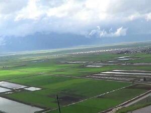 نسبة الأراضي التي تعرضت للغمر ما بين 30 ـ 50 % من المساحات المزروعة في سهل الغاب