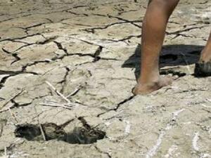 تجفيف الأهوار ومشكلة شح المياه في مناطق أهوار محافظة ذي قار، ستتسبب بنزوح أكثر من 100 ألف نسمة