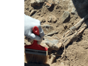 العثور على مقبرة جماعية تضم رفات 500 سجين داخل سجن بادوش