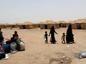 نازحون من مدينة الفلوجة العراقية