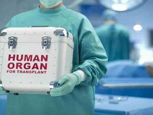 الأجهزة الأمنية بمحافظة ديالى شرق العراق تعتقل متاجرين بالأعضاء البشرية 