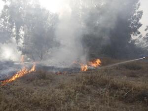  20 حريقاً يندلع يومياً في جنوبي إسرائيل منذ بدء ظاهرة الطائرات الورقية المحترقة