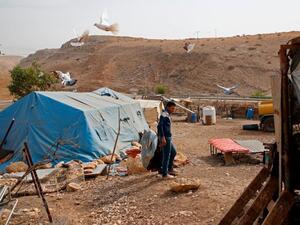 الاحتلال يطرد 16 عائلة فلسطينية من الأغوار.. لهذا السبب
