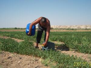Newly released figures show that 235,000 foreigners work legally in Jordan