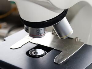 Fakih IVF is looking to expand within the UAE and the GCC region. (Courtesy of Godubai.com)