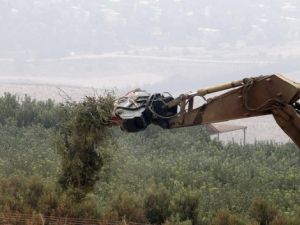 جرافة اسرائيلية تقتلع شجرة عند الحدود اللبنانية
