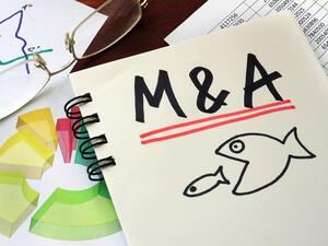 Only 192 M&A deals were recorded across the region during the first half of 2017, compared to 250 deals in 2016. (Shutterstock)