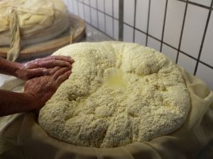 Cheese from markets in Taiz as Awshaqhi cheese as well as Arafi is the most popular nationwide and sold abroad to Gulf states.