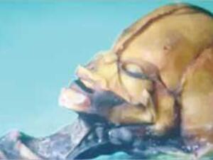 صورة المخلوق