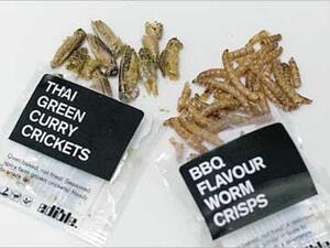 كما يبيعها المنتجر