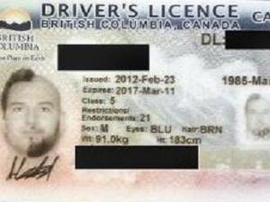 رخصة القيادة