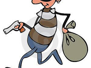 66 عاما خبرة