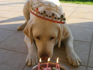 هابي بيرث دي تو يو