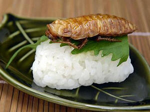 صرصار مع أرز