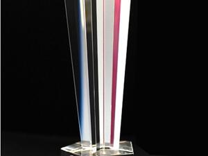 The award given to Abu Dhabi University at the 2nd Network World Middle East Awards last week