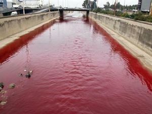 The reason behind the Beirut River's red color remains a mystery. (Image source: "saidaonline.com")