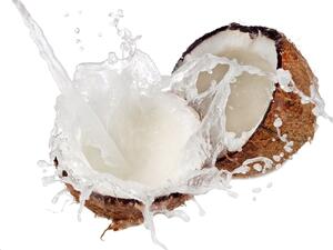 أسرار مياه جوز الهند