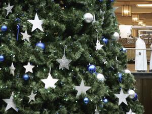 Desert Snow uses biodegradable, environmentally-friendly products to create the winter snow effect. 