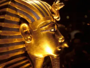 مصر تبلغ الانتربول بسرقة مقتنيات المجمع العلمي