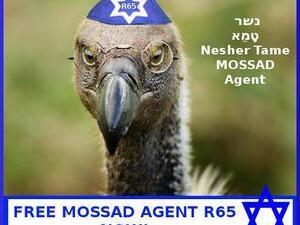 Israeli websites mocked Saudi Arabia, after the authorities there claimed to have arrested a vulture working for the Israeli spy agency Mossad.