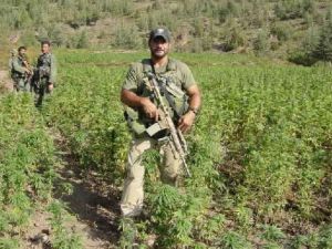 The marijuana fields of Lebanon