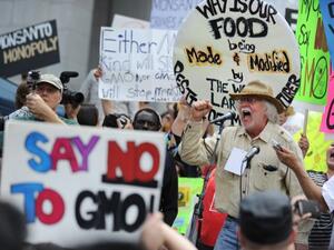 Egyptians gather to denounce Monsanto's genetically modified products and their risks. The photo shows Monsanto protests in the US.