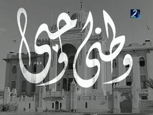 وطني الذي أريد.