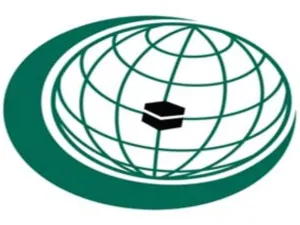 اوغلي يدعو لاخذ المكانة المناسبة بين دول العالم 