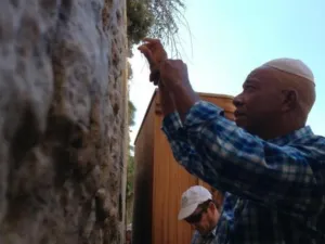 اسرائيل تأمر بتحويل اموال الفلسطينيين 