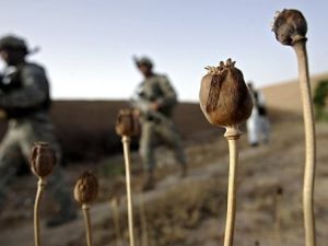 دافعو الضرائب يمولون مسلحي أفغانستان