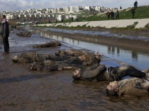 العثور على 65 جثة لشبان اعدموا في حلب