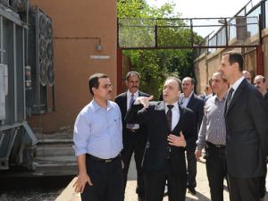 الاسد في محطة كهرباء 