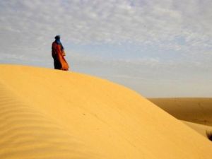 الدول المجاورة لمالي تريد تعزيز سلطات باماكو