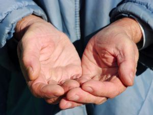 (Shutterstock/irin-k)