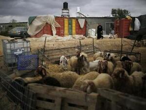 امرأة تسير في قرية بير مشاش