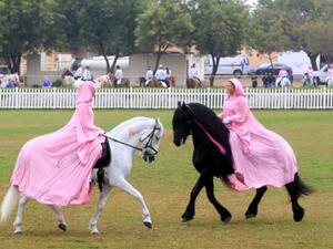 Hoofbeatz perform during the Pink Caravan campaign at the Sharjah Equestrian & Racing Club (Photo:  Zarina Fernandes/ Gulf News)