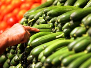 According to the Sheikh, men should handle vegetables such as cucumbers away from their women.
